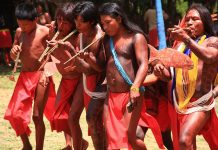 Todo apoio ao povo Wajãpi