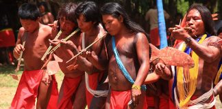 Todo apoio ao povo Wajãpi