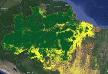 Demissão de diretor do INPE tem motivações geopolíticas e já repercute internacionalmente