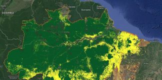 Demissão de diretor do INPE tem motivações geopolíticas e já repercute internacionalmente