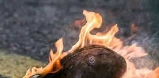 Chile: Crônicas da rebelião parte 3. Testemunho desde Santiago do Chile