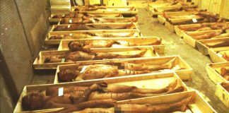 Carandiru: 27 anos sem justiça e de desrespeito aos direitos humanos