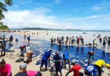 População faz mutirões para conter o vazamento de óleo em praias