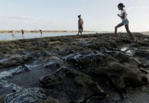 Origem do derramamento de petróleo segue desconhecida