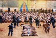 Votar no “pacote anticrime” foi uma injustificável capitulação