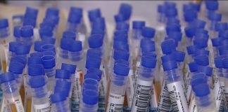 Coronavírus e enfrentamento ao genocídio bolsonarista