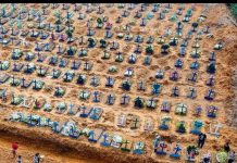 O resultado do negacionismo de Bolsonaro