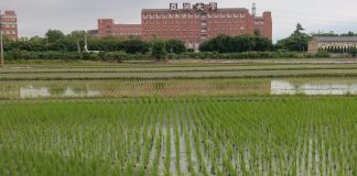 A agricultura capitalista e o Covid-19: uma combinação fatal