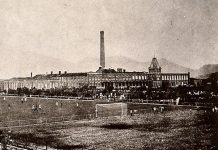 A elite vende tudo que toca