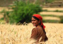 Julho também é a vez de lembrar da luta das mulheres trabalhadoras do campo
