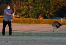 Bolsonaro anti-ciência provoca mais de 400 mil mortes