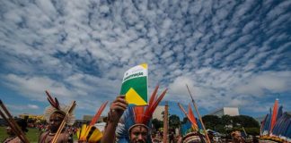 O criminoso Marco Temporal, o PL 490 e a importância da luta indígena: