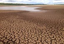 Bolsonaro ecocida: inimigo do meio, da vida e dos direitos democráticos