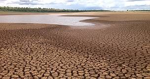 Bolsonaro ecocida: inimigo do meio, da vida e dos direitos democráticos