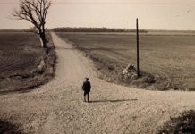 PSOL na encruzilhada