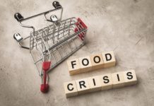 Rumo a uma crise alimentar global?