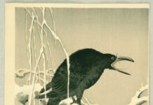 Saito: a ruptura metabólica e o decrescimento comunista