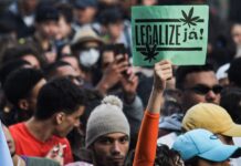 A legalização da maconha é uma luta dos revolucionários