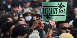 A legalização da maconha é uma luta dos revolucionários