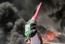 Palestina: um debate com a esquerda no Brasil