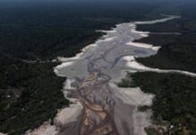 Seca histórica na Amazônia: um crime do capitalismo ecocida