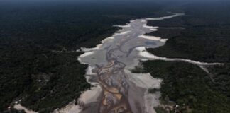 Seca histórica na Amazônia: um crime do capitalismo ecocida