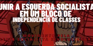 Apoie a construção do Movimento Pela Frente Socialista Revolucionária