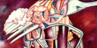 Prender Bolsonaro a partir da força das ruas