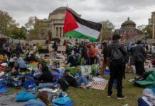 Solidariedade ao movimento estudantil estadunidense