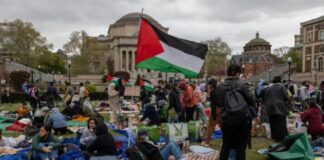 Solidariedade ao movimento estudantil estadunidense