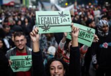 É HORA DE NACIONALIZAR A LUTA PELA LEGALIZAÇÃO DA MACONHA