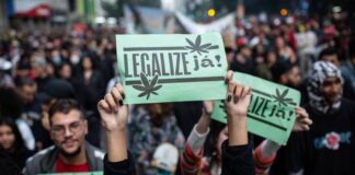 É HORA DE NACIONALIZAR A LUTA PELA LEGALIZAÇÃO DA MACONHA