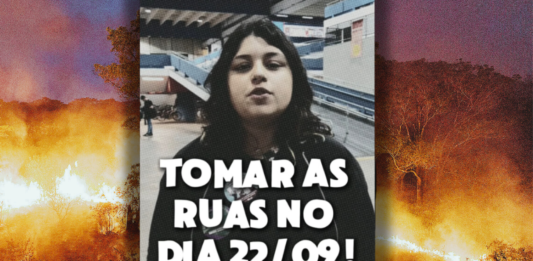 Contra as queimadas e o agro ecocida, tomar as ruas no domingo 22/09!