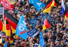 Alemanha: 5 chaves da eleição da extrema-direita na Saxônia e na Turíngia