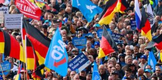 Alemanha: 5 chaves da eleição da extrema-direita na Saxônia e na Turíngia