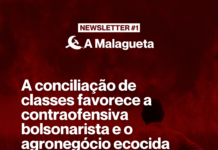 A Malagueta Newsletter #1