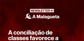 A Malagueta Newsletter #1