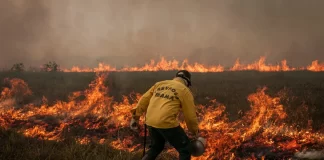 Brasil em chamas: crônica de um ecocídio anunciado