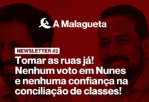 A Malagueta Newsletter #2