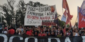A luta contra as queimadas e os desafios para construir um novo movimento ecologista