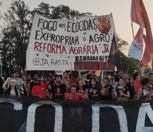 A luta contra as queimadas e os desafios para construir um novo movimento ecologista