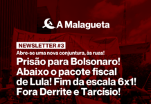 A Malagueta Newsletter #3