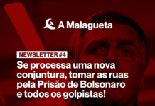 A Malagueta Newsletter #4