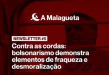 A Malagueta Newsletter #5