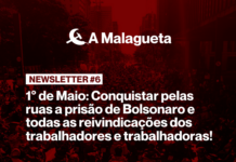 A Malagueta Newsletter #6