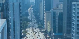 Anticrítica do “partido imaginário”