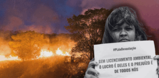 Às ruas contra o PL da Devastação! Acabar com o agronegócio antes que ele acabe com o planeta!