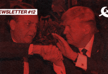 7 de setembro: a luta contra o imperialismo, a extrema direita e em defesa dos direitos democráticos – Newsletter #12