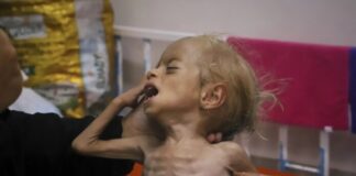 “Pele e osso”: um relato das entranhas do genocídio, escrito por uma das jornalistas assassinadas por Israel em um hospital em Gaza