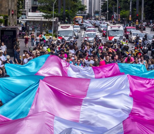 Lula e a linguagem neutra: o governo da frente ampla se dispõe mais uma vez a abandonar os marginalizados